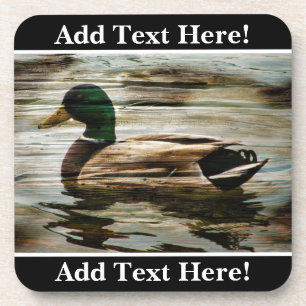 Duck Coaster