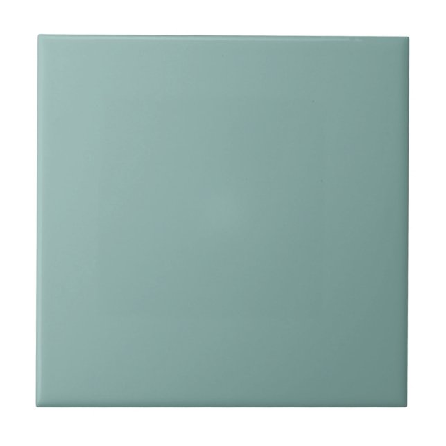 Duck Egg Blue Solid Color Tile (Front)