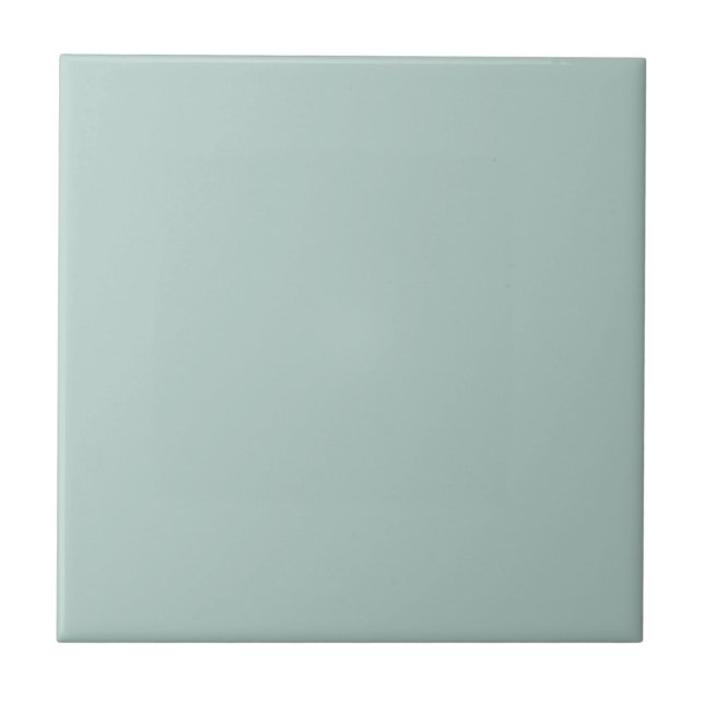 Duck Egg Blue Solid Color Tile (Front)