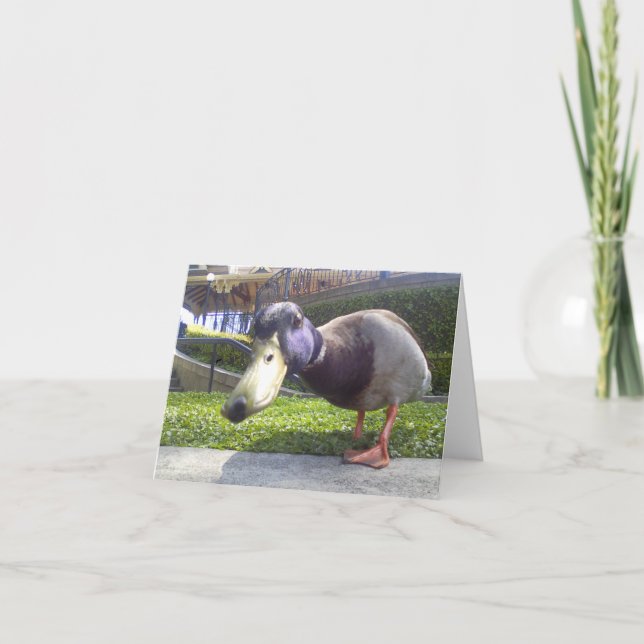 "Duck Encounter" Card (Front)