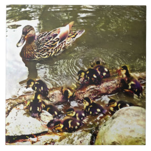 Duck Family Ceramic Tile