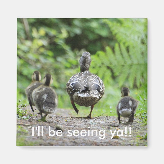 Duck Family Magnet (Front)