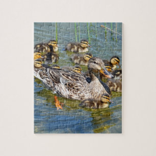 Duck Family Puzzle