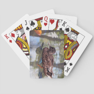 Duck & Fish Pond Playing Cards