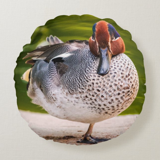 Duck Gets A Leg Up Round Cushion (Front)