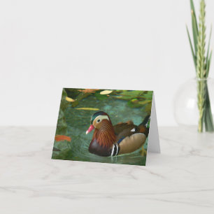 Duck Greeting Cards