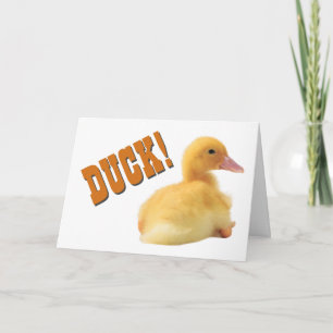 Duck Happy Birthday Card