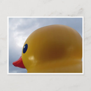 duck head round postcard