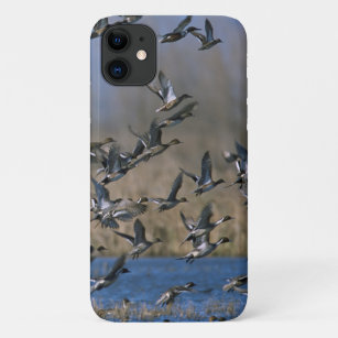 Duck Hunting - Pintail Ducks Flying Case-Mate iPhone Case