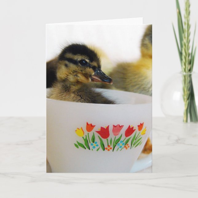 Duck in a Teacup Card (Front)