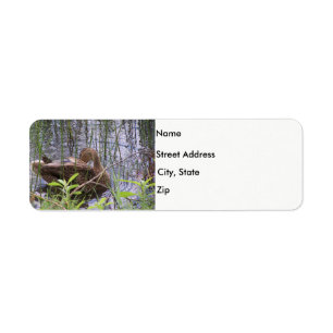 Duck in the reeds return address label