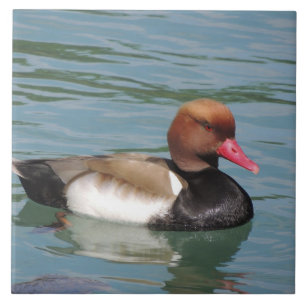 Duck in The Water Ceramic Tile