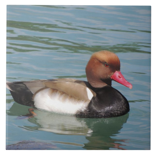 Duck in The Water Ceramic Tile (Front)