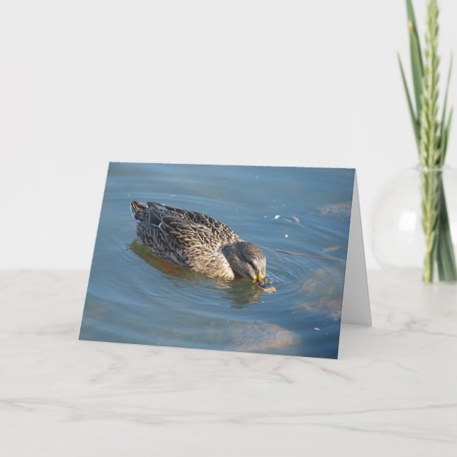 Duck in Water Card (Front)