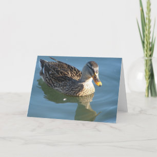 Duck in Water Card
