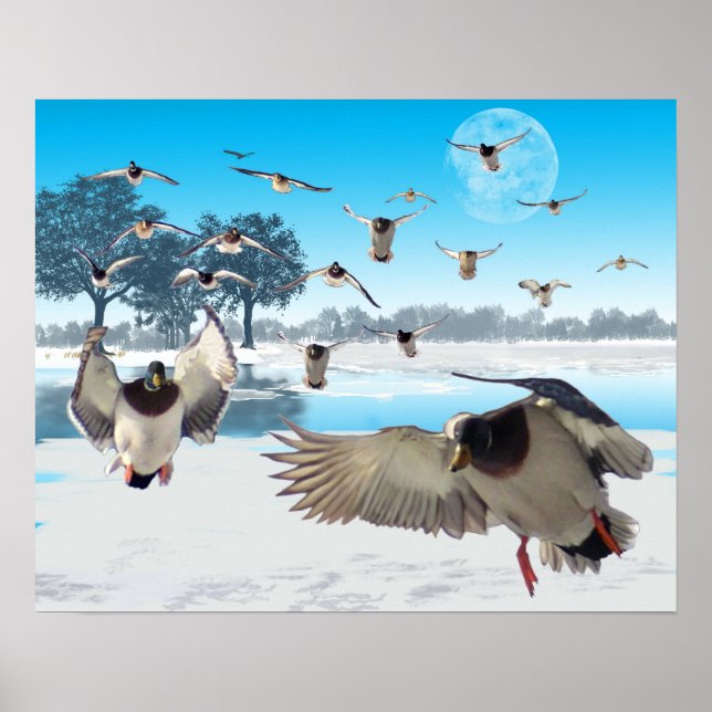 Duck Lake Poster (Front)