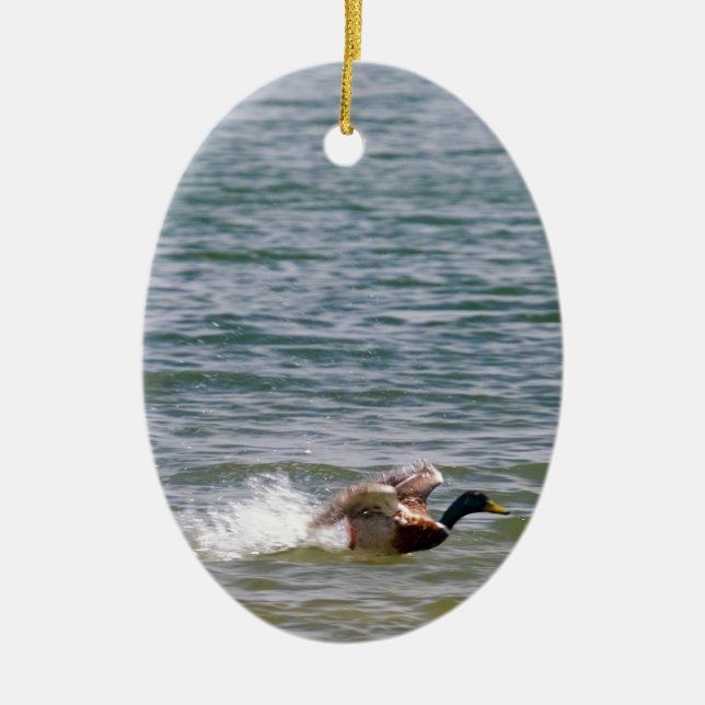 Duck Landing in Water Ceramic Ornament (Front)