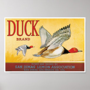 Duck Lemon San Dimas Los Angeles County California Poster