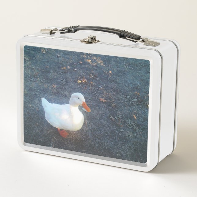 Duck Lunch Box (Front)
