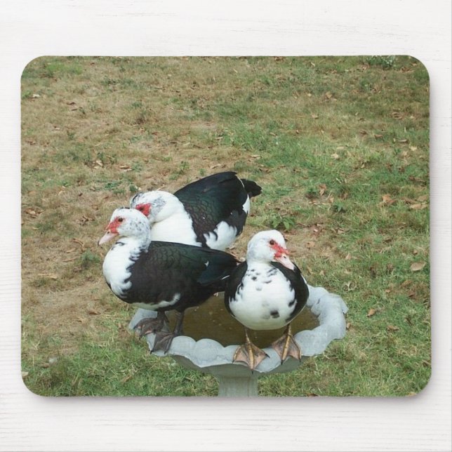 Duck Mousepad (Front)