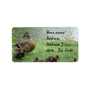 Duck mum and ducklings label