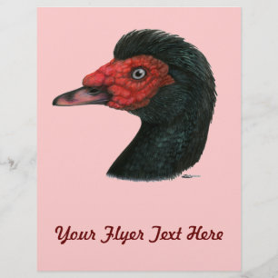Duck:  Muscovy Head Flyer