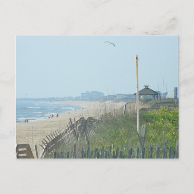 Duck North Carolina Coastline Postcard (Front)