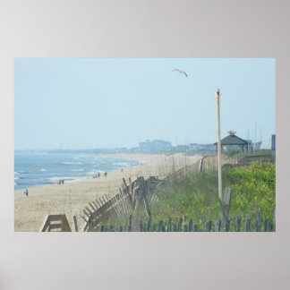 Duck North Carolina Coastline Poster