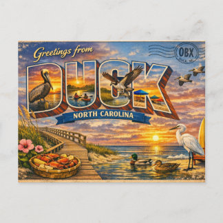 Duck North Carolina Postcard