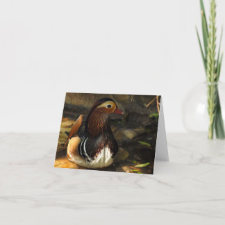 Duck Notecard