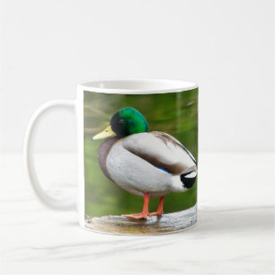 Duck on a Rock Coffee Mug