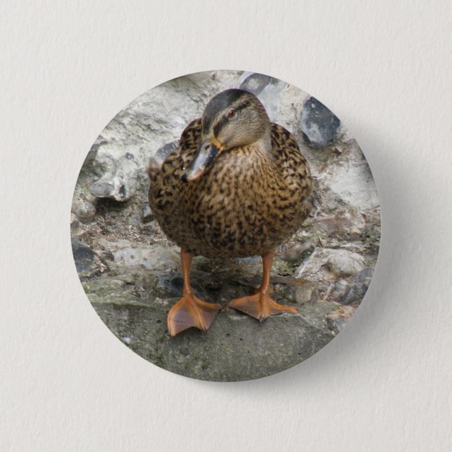 Duck on a Wall Button (Front)