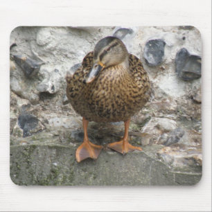 Duck on a Wall Mousepad