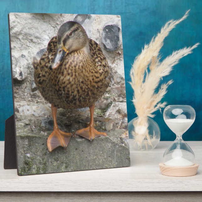 Duck on a Wall Plaque (Side)