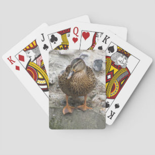 Duck on a Wall Playing Cards