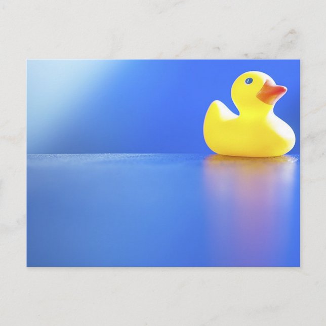 Duck on Blue Postcard (Front)