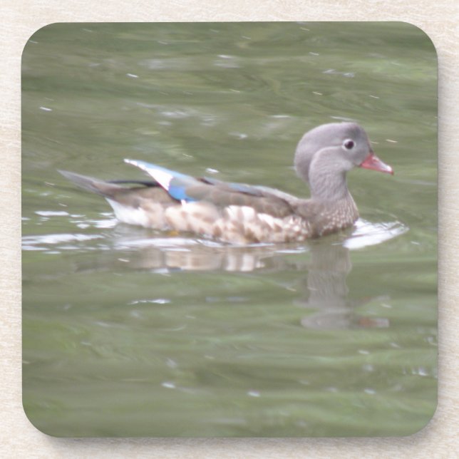 Duck on the Lake Cork Coaster (Front)
