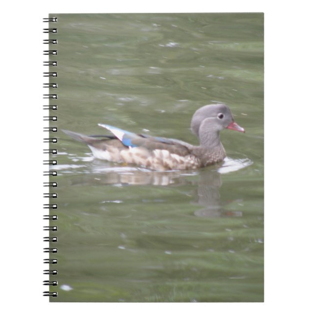 Duck on the Lake Notebook (Front)