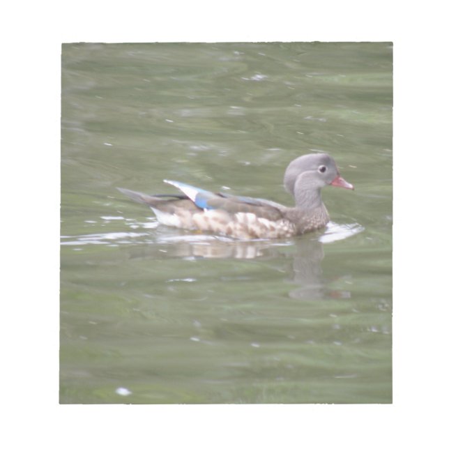 Duck on the Lake Notepad (Front)