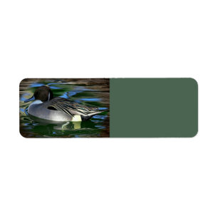 Duck On The Lake Return Address Label