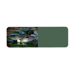 Duck On The Lake Return Address Label