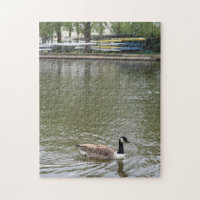 Duck on the River Avon Bird Nature Photography