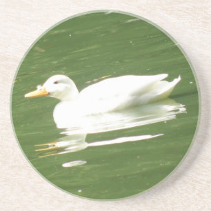 Duck on the Water Coasters