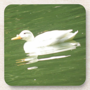Duck on the Water Cork Coaster