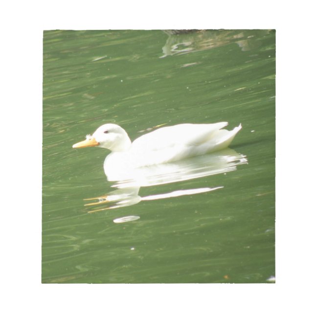 Duck on the Water Notepad (Front)