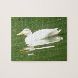 Duck on the Water Puzzle