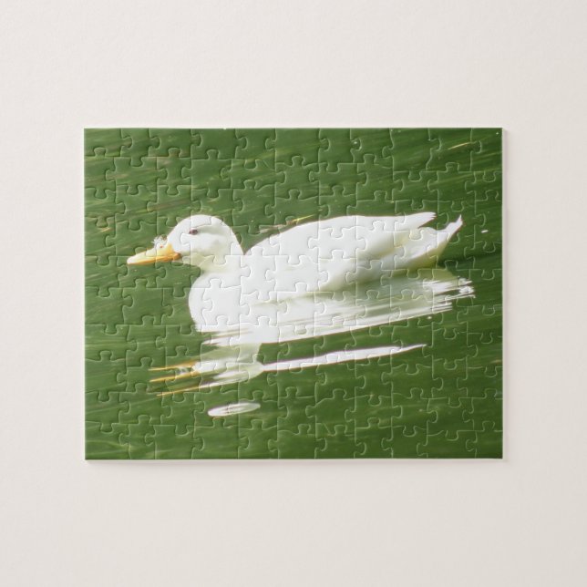 Duck on the Water Puzzle (Horizontal)