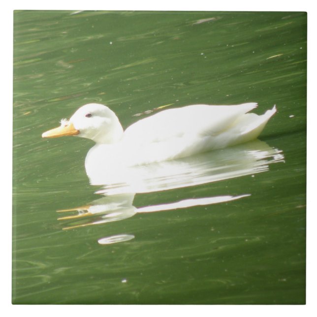 Duck on the Water Tile (Front)