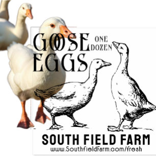 DUCK or GOOSE EGGS Farm Market Stamp Vintage Ducks