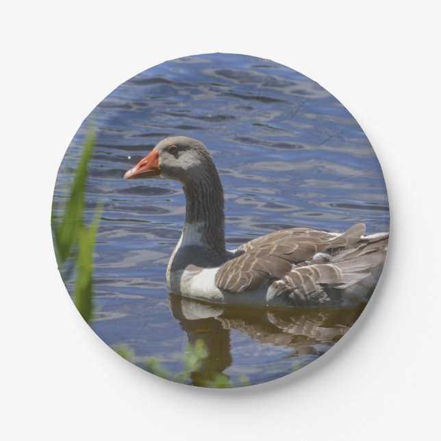 Duck Paper Plate (Front)